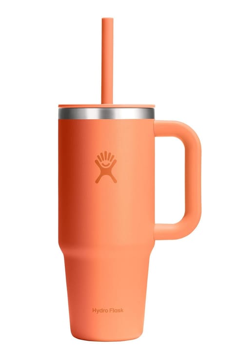 فلاسک و لیوان سفر Hydro Flask All Around Travel Tumbler با نی ۷۱۰ میلیلیتر (۲۴ اونس) - رنگ Nectar