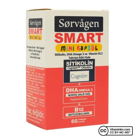 سوروگن اسمارت مینی سیتیکولین امگا 3 و B12