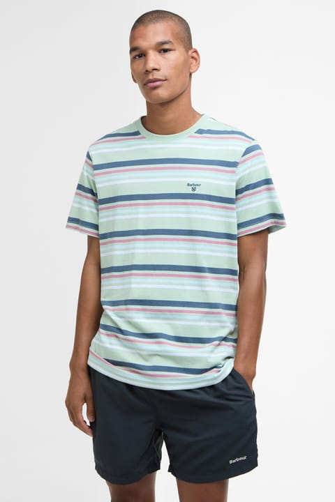 تی‌شرت مردانه Barbour مدل Houstead Stripe Tailored Fit رنگ Pale Apple کد GN12
