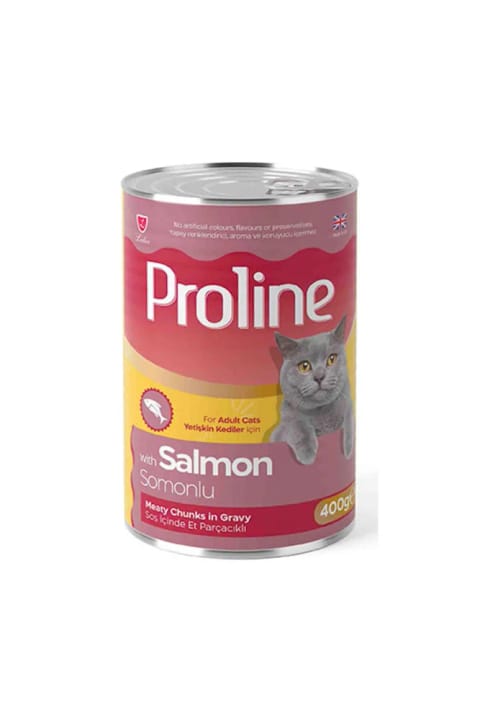Proline کنسرو غذای گربه بالغ با سالMON و سس گریوی 400 گرم