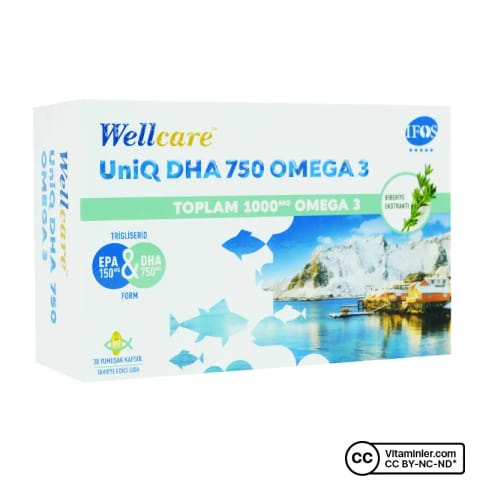 Wellcare Uniq DHA 750 Omega 3 30 کپسول