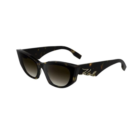 عینک آفتابی KARL LAGERFELD 6162S