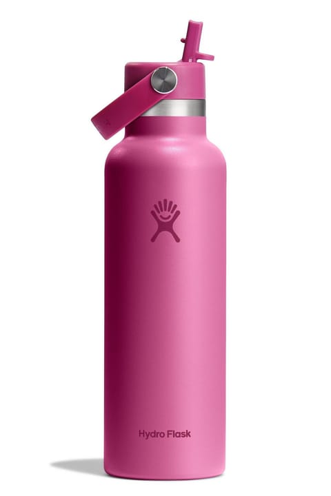 فلاسک آب Hydro Flask استاندارد با درپوش نیدار 621 ml (21 Oz) - Reef Pembe