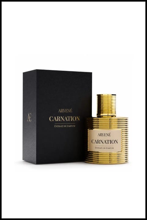 Aryene Carnation Incarné – عطر زنانه Extrait de Parfum 100 میلیلیتر | میوهای ...