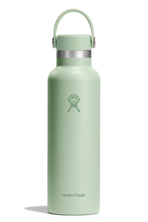 فلاسک Hydro Flask با درپوش استاندارد 621 میلی‌لیتر (21 اونس) - سبز آلوئه