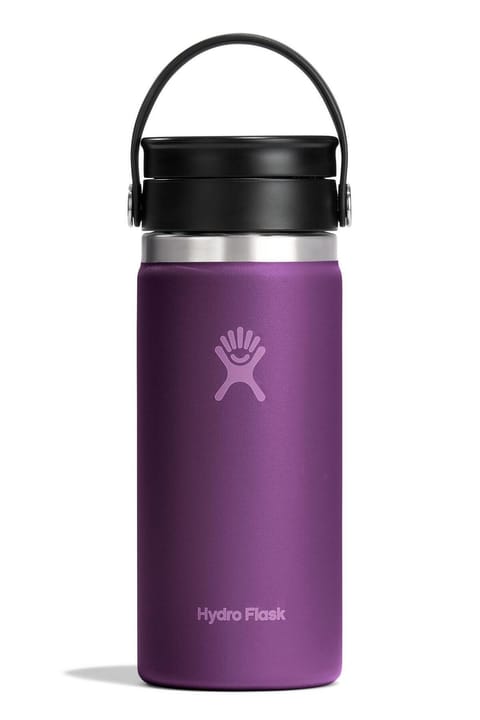 فلاسک Hydro Flask مدل Geniş Flex Sip با درب نی‌ای 473 ml (16 Oz) - Beachplum Mor