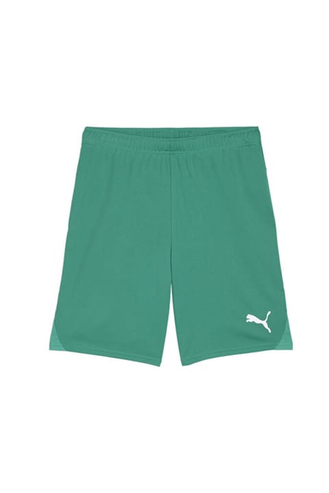 شورت تمرینی فوتبال مردانه Puma Teamgoal مدل 70575205 رنگ سبز