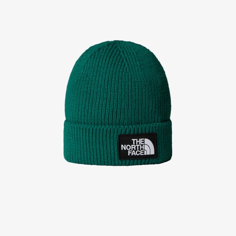 کلاه بافت The North Face مدل Logo Box Cuffed یونیسکس سبز