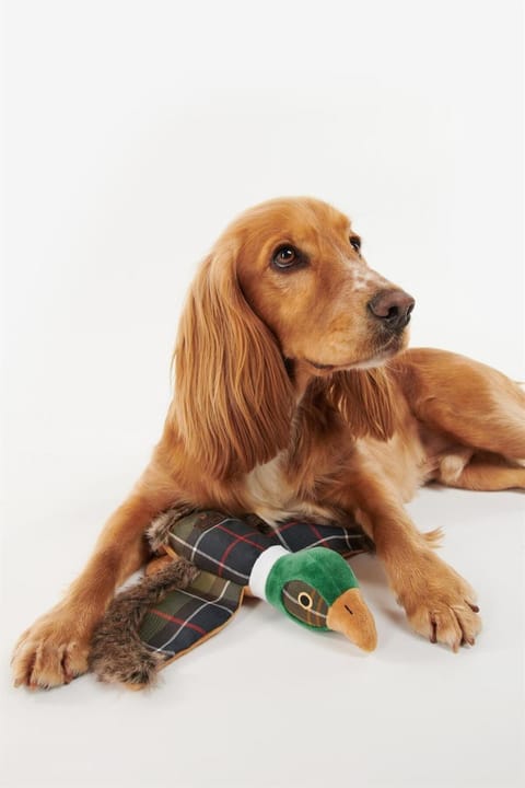 اسباب‌بازی سگ Barbour Tn11 Classic Tartan