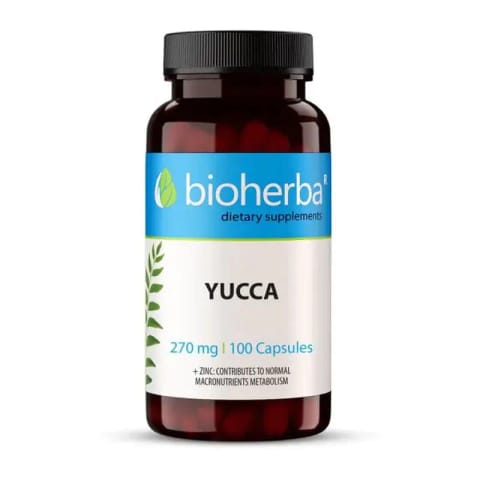 Bioherba Yucca+Zinc 270 mg 100 Caps
