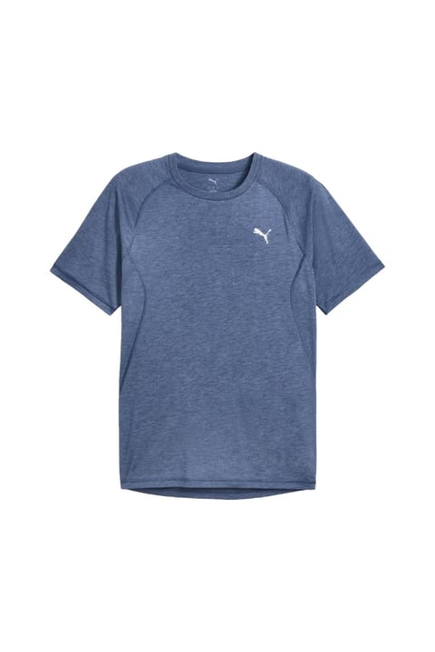 تیشرت دویدن مردانه Puma Run Velocity Tri-blend آبی