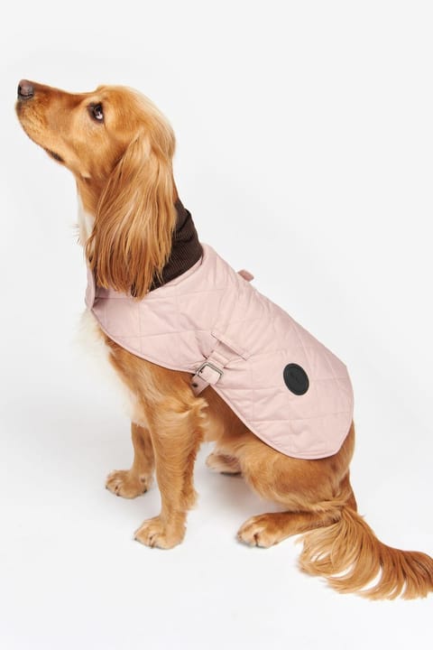 لباس سگ کوییلتد Barbour PI12 صورتی