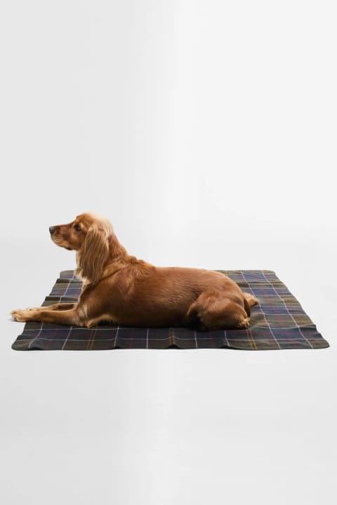 پتو سگ Barbour طرح تارتان TN11 Classic Tartan