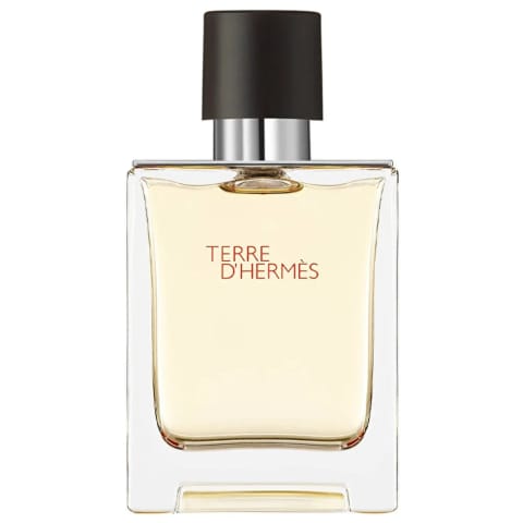 ادو تویلت مردانه Hermes Terre D'Hermes 100 ml
