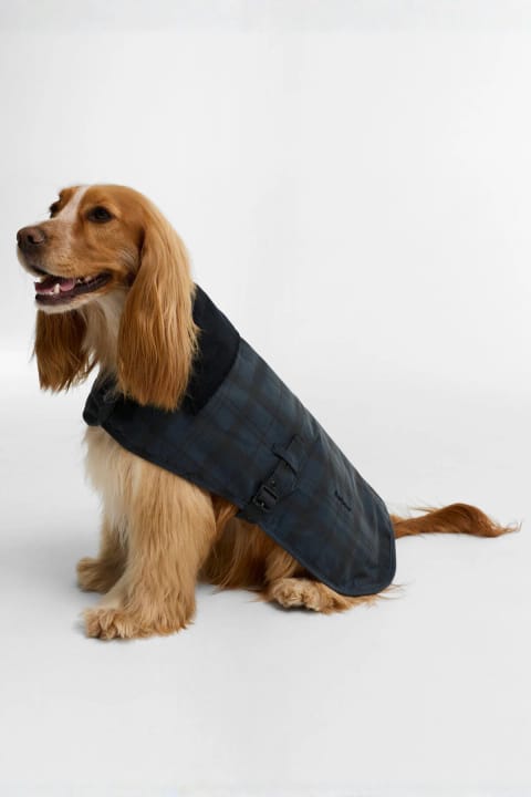 باربور آمبلساید کت سگی واکسی مدل NY75 Navy Tartan
