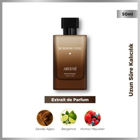 Aryene Burning Veil Debut Extrait de Parfum ادوپرفم مردانه ۵۰ میلی‌لیتر