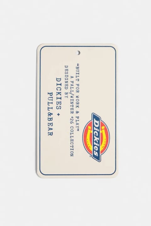 تیشرت آستین متضاد Dickies