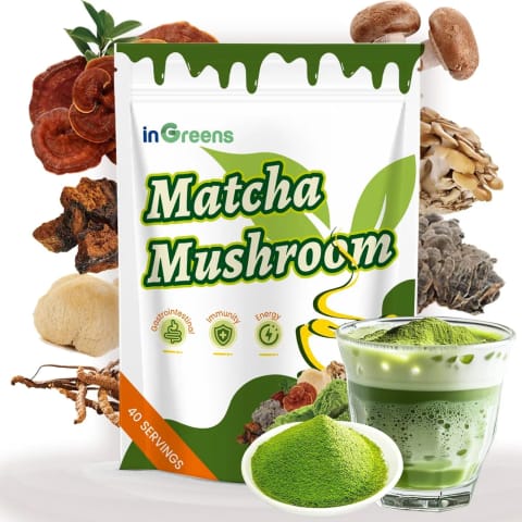 مکمل Mushroom Matcha MCT Reishi & Lion's Mane اینگرینز ۲۰۰ گرم