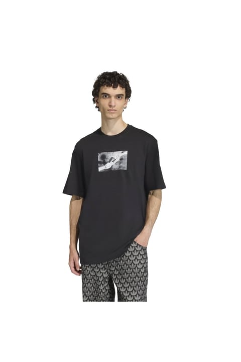 تیشرت مردانه adidas Gfx T KS7611