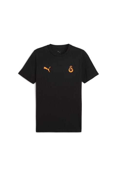 تی‌شرت مردانه GALATASARAY FtblESSENTIALS