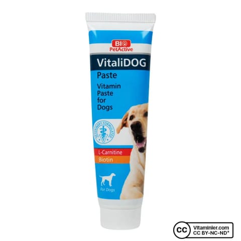 Bio PetActive Vitalidog خمیر سگ 100 میلیلیتر