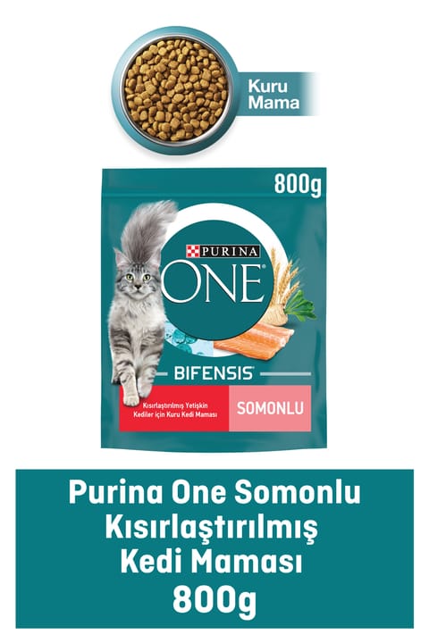 Purina One غذای گربه بالغ عقیم‌شده با طعم سالمون ۸۰۰ گرم