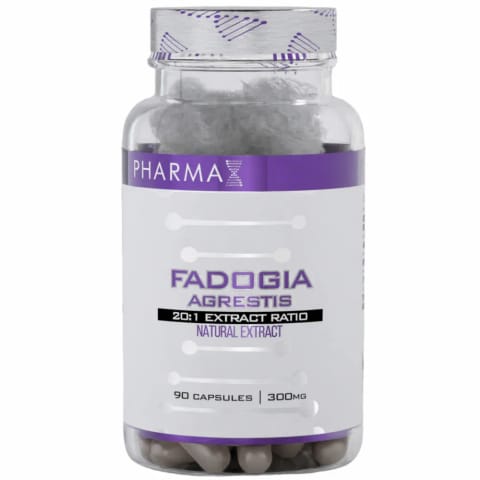 Pharma X Fadogia Agrestis 20:1 600 mg 90 کپسول - ساخت USA