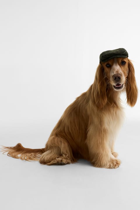 کلاه سگ Barbour Dogs Wilkin OL71 طرح چهارخانه زیتونی