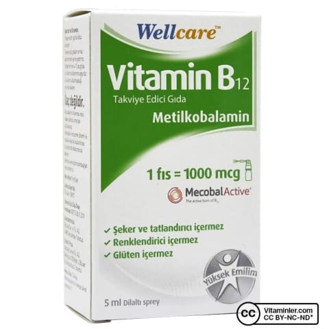 Wellcare ویتامین B12 اسپری ۵ میلیلیتر