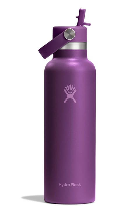 فلاسک Hydro Flask با درب استاندارد و نی ۶۲۱ میلیلیتر (۲۱ اونس) - Beachplum Mor