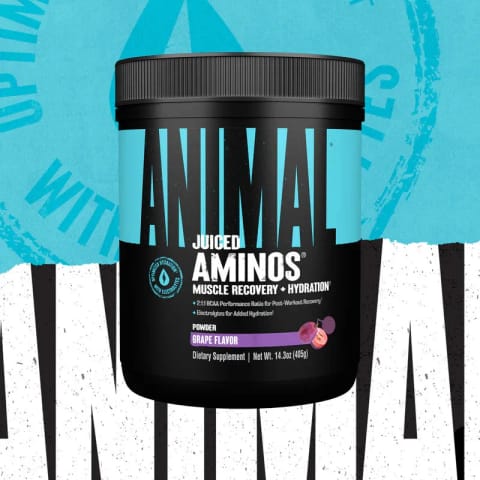 Animal Juiced Aminos BCAA + Recovery