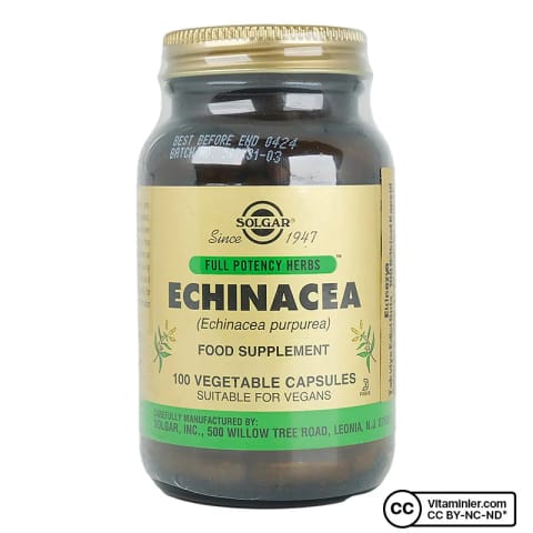 Solgar Echinacea 100 کپسول