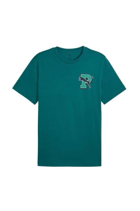 تی‌شرت مردانه Puma Graphic سبز استایل روزمره 69177641