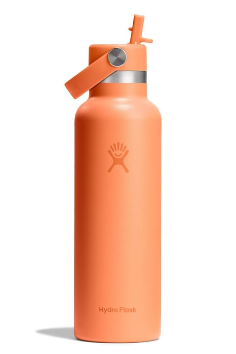فلاسک Hydro Flask 621 ml (21 Oz) با درب استاندارد و نی - نارنجی Nectar