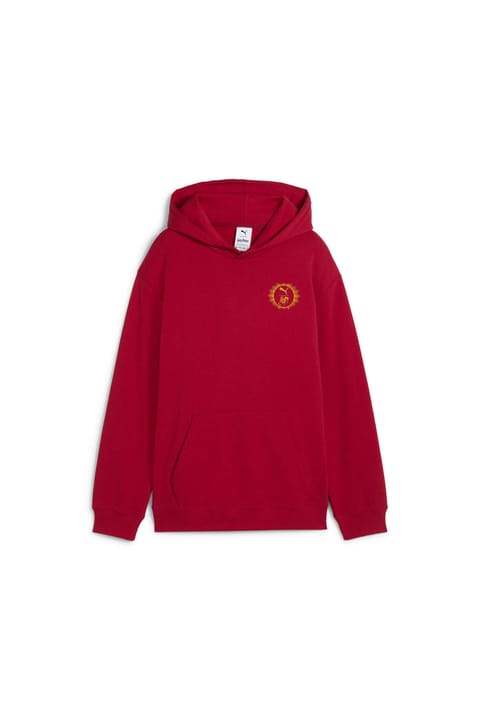 سویشرت هودی اورسایز نوجوان Puma x HARRY POTTER